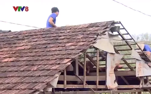 Quảng Ngãi: Chung sức hỗ trợ dân dựng lại nhà cửa sau bão