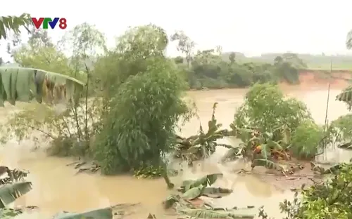 Hà Tĩnh: Sạt lở bờ sông diễn biến phức tạp