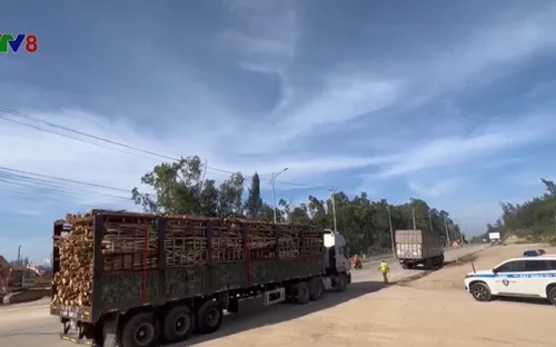 Đảm bảo ATGT Khu kinh tế Dung Quất