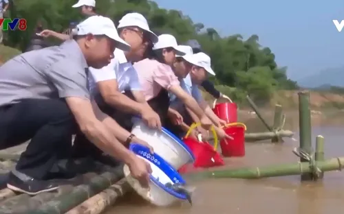 Thanh Hóa: Thả cá giống tái tạo nguồn lợi thủy sản lòng hồ thủy điện