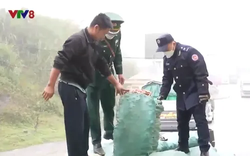 Thủ đoạn tinh vi trong buôn lậu, gian lận thương mại