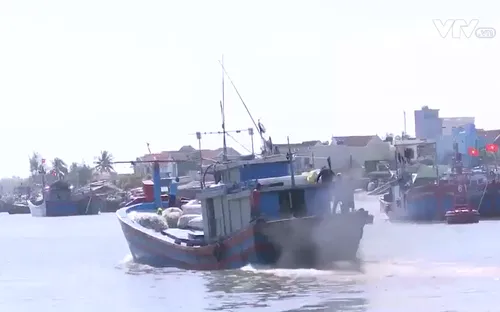 Ngư dân Quảng Ngãi vươn khơi bám biển xuyên Tết