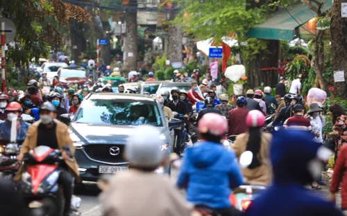 Chợ hoa Xuân Hoàng Hoa Thám (Hà Nội) tấp nập những ngày giáp Tết