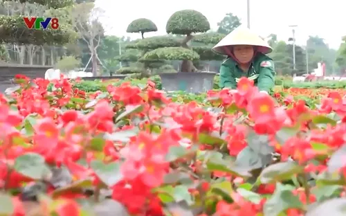 Nghệ An gấp rút chỉnh trang đô thị đón Tết