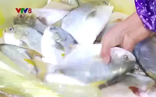 Niềm vui từ những mẻ lưới đầu năm