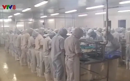 Hà Tĩnh hỗ trợ xuất khẩu thủy sản ra nước ngoài