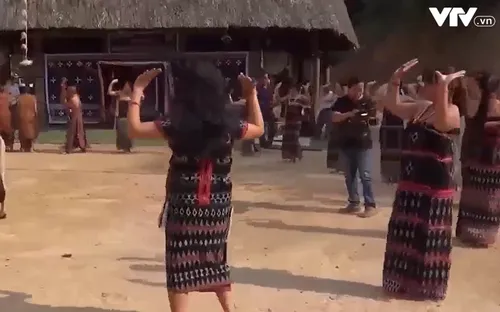 Lễ tạ ơn rừng của đồng bào Cơ Tu