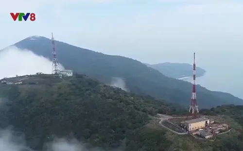 Những người đón Xuân trên đỉnh Sơn Trà