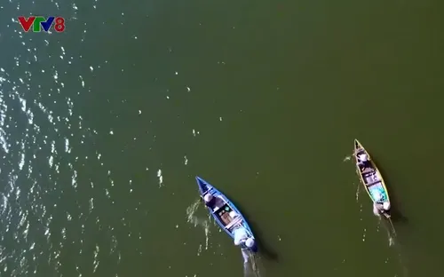 Xuân về trên đầm An Khê