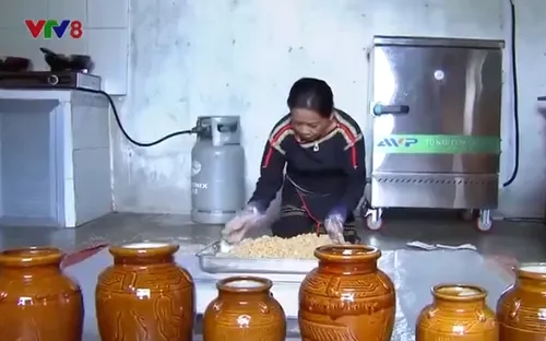 Người Ê Đê ủ rượu cần đón Tết