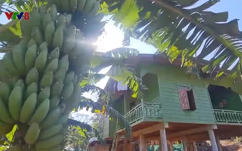 Sắc Xuân trên vùng biên giới