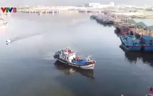 Niềm vui của ngư dân Miền Trung trong chuyến biển đầu năm