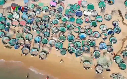 Làng chài đánh cá bằng thuyền thúng ở Phú Yên