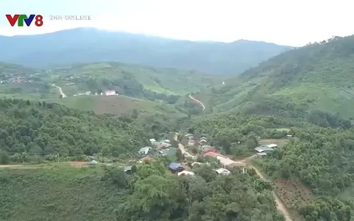 Phát triển kinh tế dược liệu ở Tu Mơ Rông, Kon Tum