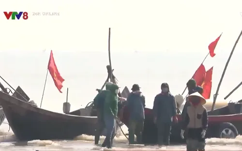 Ngư dân Thanh Hoá trúng lộc biển đầu năm