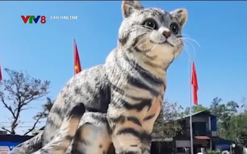 Quảng Trị cân nhắc bán đấu giá linh vật 'mèo hoa hậu' gây quỹ từ thiện