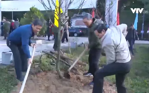 Thừa Thiên Huế phát động Tết trồng cây