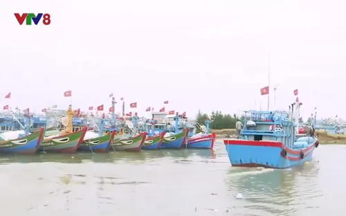 Ngư dân Quảng Ngãi vươn khơi đầu năm