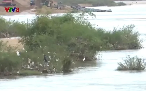 Phú Yên đầu tư 245 tỷ đồng cho kè chống sạt lở bờ Sông Ba