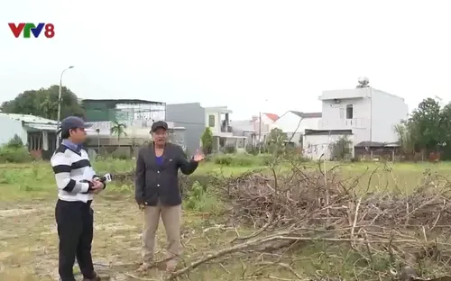 20 năm một dự án