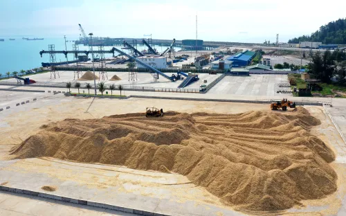 Dăm gỗ và viên nén - động lực xuất khẩu ngành gỗ