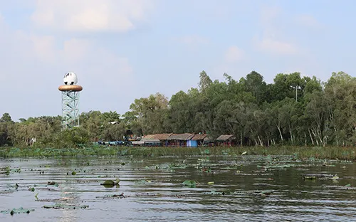 Đồng Tháp xây dựng phương án phòng cháy, chữa cháy rừng năm 2023