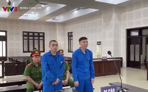 Đà Nẵng: Xét xử 02 bị cáo mua bán ma túy
