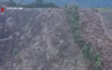 Một vụ phá rừng tự nhiên nghiêm trọng ở Quảng Bình