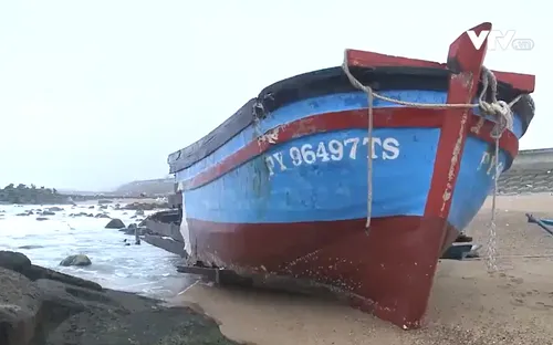 Biển động kéo dài, nhiều làng biển Phú Yên mất mùa