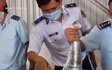 13 năm tù cho đối tượng vụ vận chuyển trái phép gần 10 tấn động vật hoang dã về Việt Nam