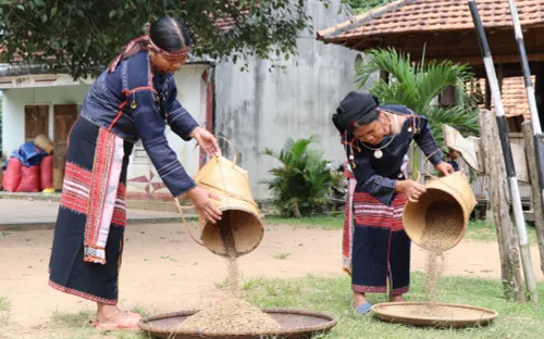 Hơn 11.000 tỷ đồng phát triển Tây Nguyên