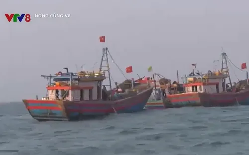 Nóng tình trạng khai thác thủy sản trái phép