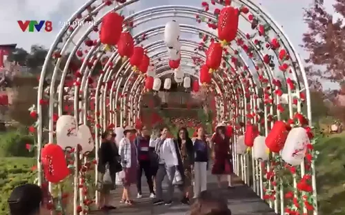 Xử lý vi phạm các điểm kinh doanh du lịch tự phát