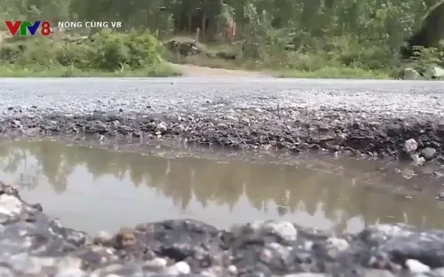 Điểm đen giao thông trên Quốc lộ 1 qua Quảng Ngãi