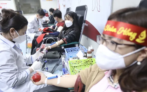 Khai mạc Lễ hội Xuân hồng