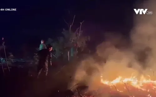 Cháy khu rừng trồng tràm tại Thừa Thiên Huế