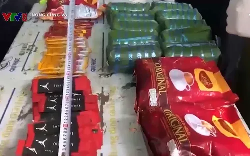 Bắt vụ vận chuyển ma túy lớn qua cửa khẩu