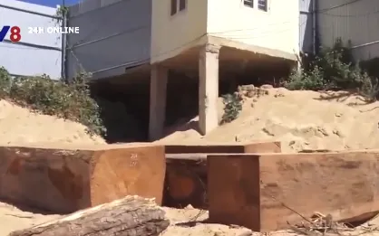 Kon Tum điều tra hàng chục gốc cây rừng bị cưa hạ