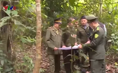 Thanh Hóa: Bảo tồn đa dạng sinh học tại các khu bảo tồn thiên nhiên