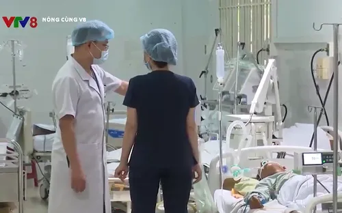 10 người ở Quảng Nam bị ngộ độc do ăn cá chép muối ủ chua