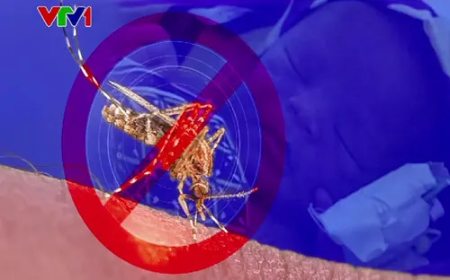 Hướng đến loại trừ sốt rét tại Việt Nam vào năm 2030