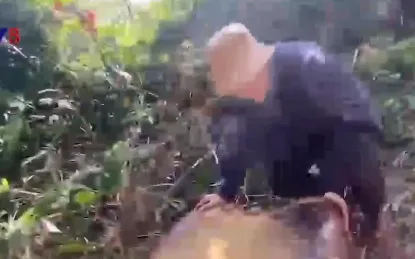 Phá rừng nghiêm trọng ở huyện miền núi Nam Đông, Thừa Thiên Huế