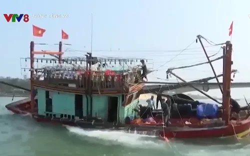 Quyền lợi bảo hiểm cho ngư dân - Mua dễ khó đòi