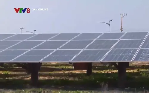 Nhiều doanh nghiệp chưa đàm phán được giá điện năng lượng tái tạo