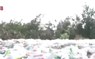 Ô nhiễm môi trường từ những bãi tập kết phân chim cút