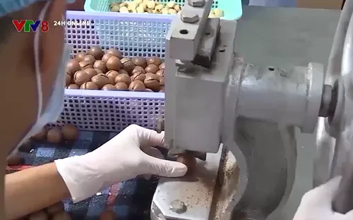 Thanh niên khởi nghiệp từ nông nghiệp