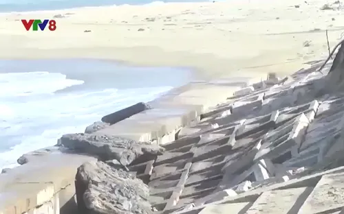 Quảng Nam tìm giải pháp sửa chữa kè biển Tam Thanh