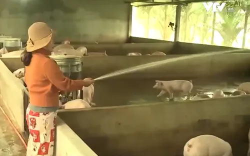 Phụ nữ Quảng Nam với chương trình khởi nghiệp