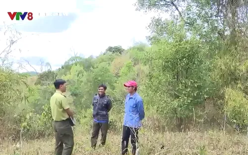 Gia Lai đẩy mạnh công tác phòng chống cháy rừng