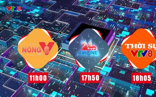 Tin tức cập nhật trong các Bản tin Thời sự VTV8